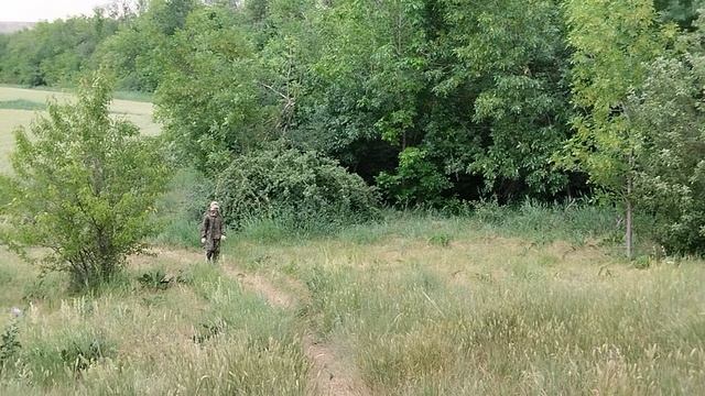 Вот природа,а не какой-то там город.⛰️🌳🌲🪵🍃🌻🍂🍂🌸🌷🏞️☔⚡