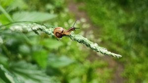 Экотерапия 8 серия.