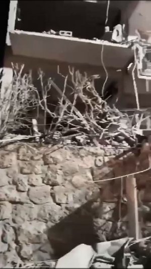 Последствия возмездия.