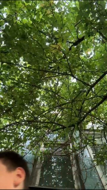 камень 2 смотреть онлайн