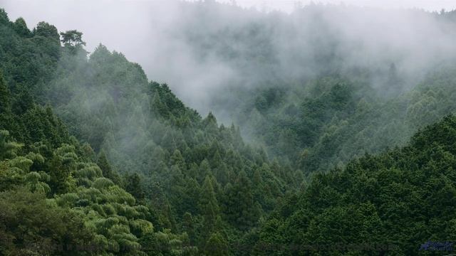 Закат, открытая дорога и трек, который вы будете помнить вечно - Space -- Chad Crouch -- Arps II