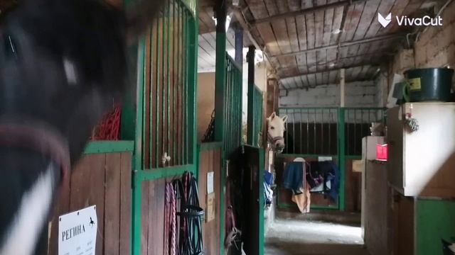 Лето в КСК Идель  2 .mp4