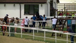 Павловские скачки. Скаковой день