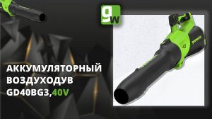 Воздуходувка аккумуляторная Greenworks GD40BG3, 40V