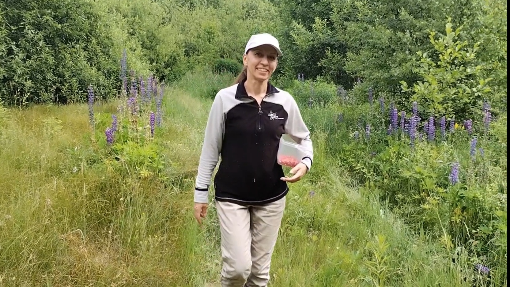 Первые ягоды из леса. Новый инструмент. 13-06-2025 смотреть онлайн