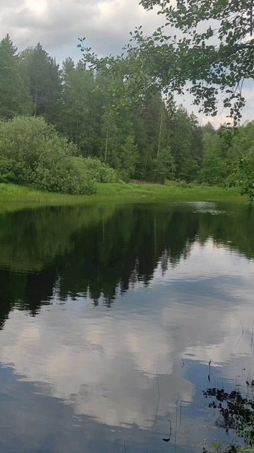 (7) Евангелие от Иоанна глава 2 стих 1-12 смотреть онлайн