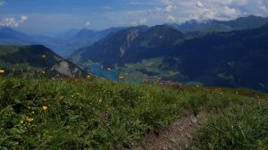 Тибет. Шаманская музыка для сна и исцеления | Tibetan Shamanic Sleep & Healing Music