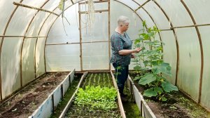 "Жизнь на пенсии".. Будни пенсионерки.