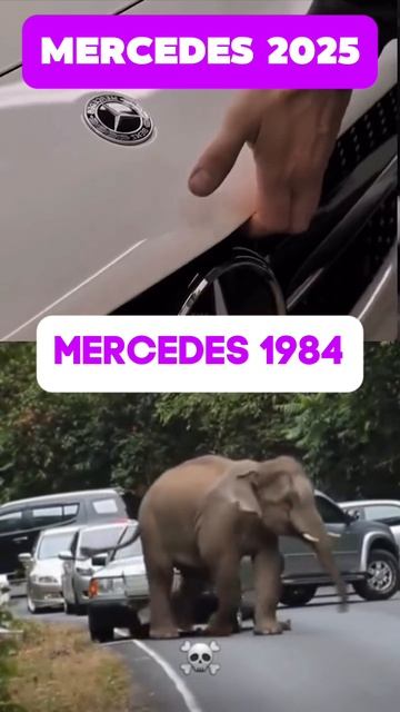 Свежее или надежное?