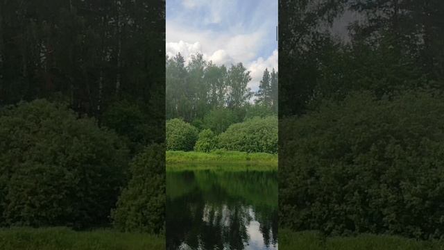 (8) Евангелие от Иоанна глава 2 стих 13-25 смотреть онлайн