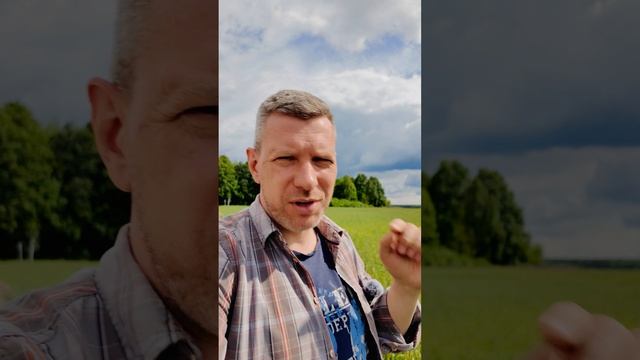 Про зону комфорта смотреть онлайн