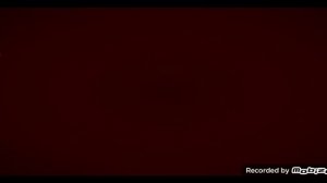 1000010202.mp4