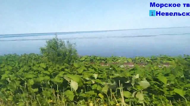 На автобусе со стороны моря от посёлка Зырянское до города Невельск 12 июня 2025 года