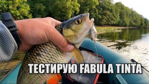 Я В ШОКЕ ОТ ТАКИХ ПОКЛЕВОК! ТЕСТИРУЮ FABULA TINTA