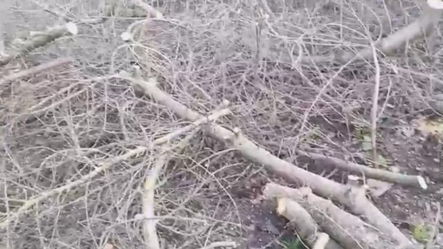 Результаты работы