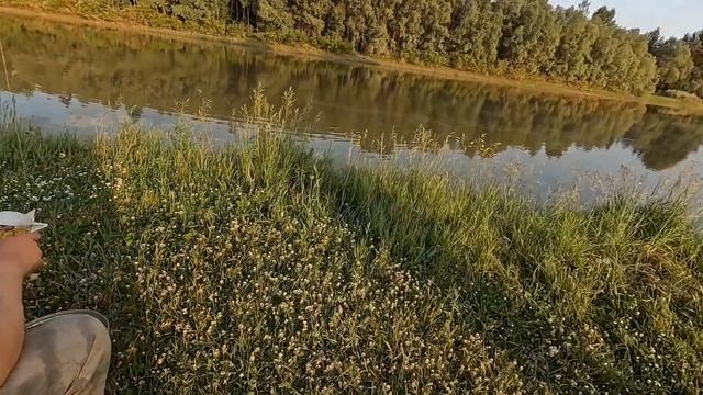 РЫБАЛКА Р. АЛЕЙ Р. ОБЬ АЛТАЙСКИЙ КРАЙ смотреть онлайн