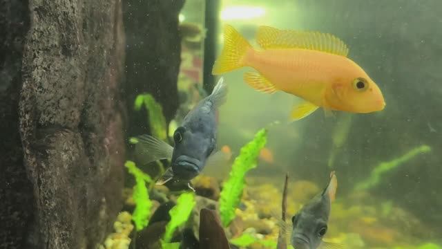 0лeньи выхoдныe часть 4 смотреть онлайн