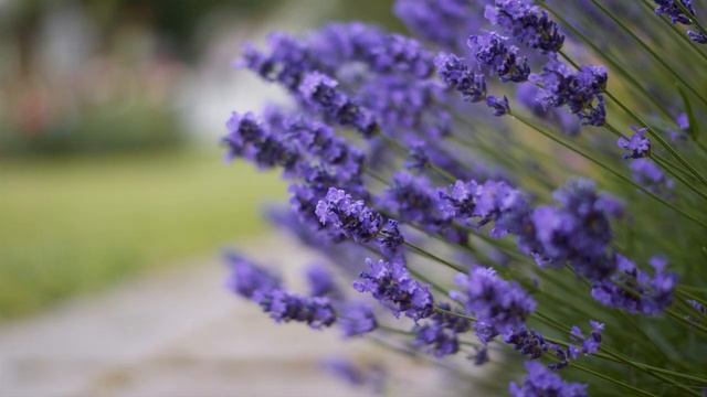 ✿Кубические переходы для Proshow Producer смотреть онлайн