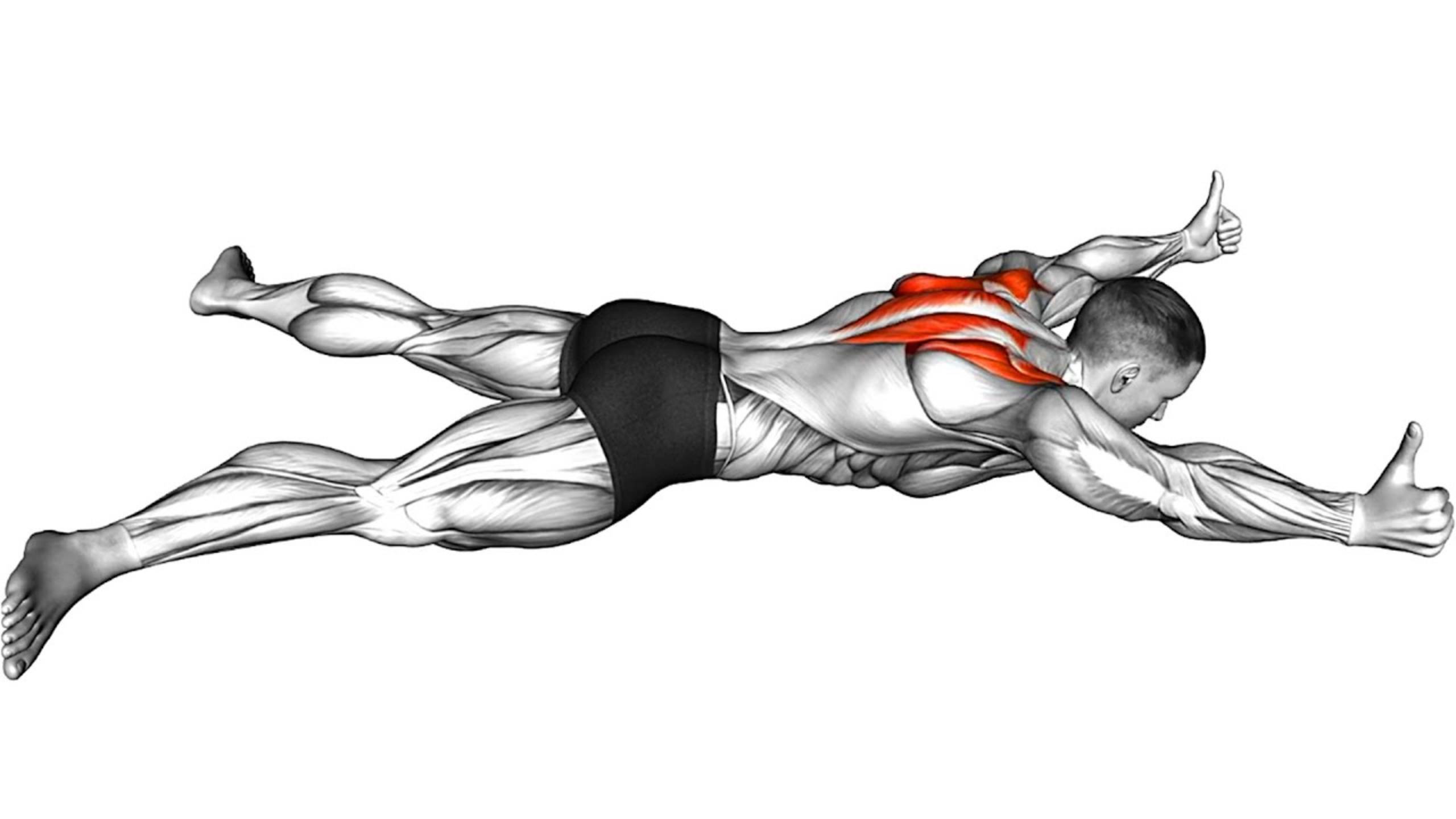 Утренняя Тренировка — программа ежедневных упражнений смотреть онлайн