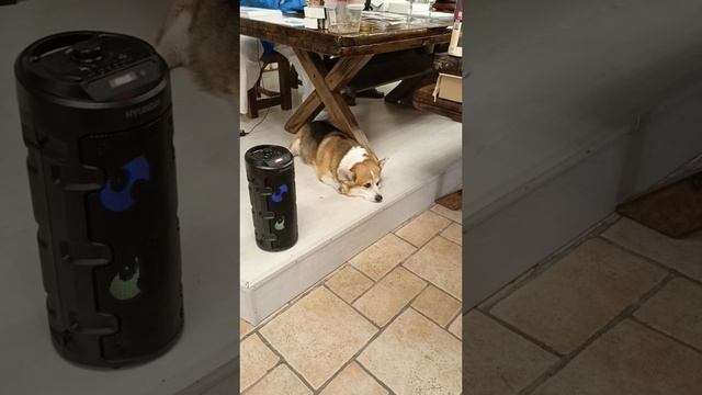 чемпионат по медленному курению трубки