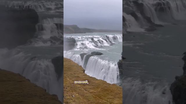 Совместное изучение Живой Этики смотреть онлайн