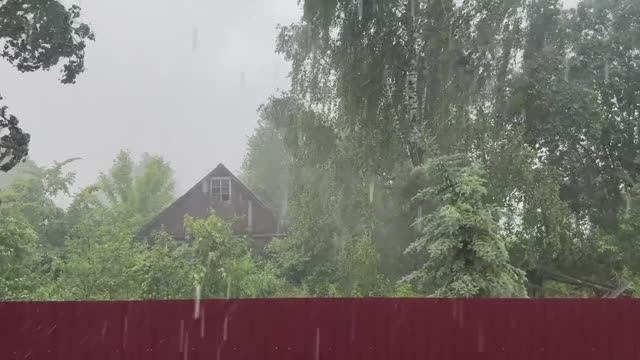 Начали строить курятник. Нас опять затопило. Все тепли смотреть онлайн