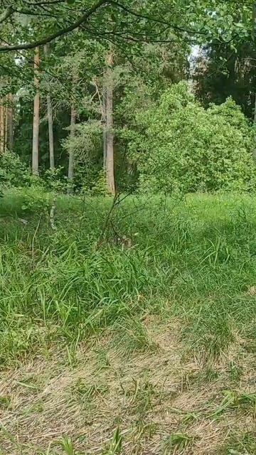 (17) Евангелие от Иоанна глава 5 стих 12-23 смотреть онлайн