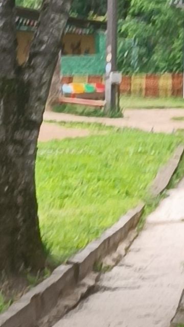 местные цыплята смотреть онлайн