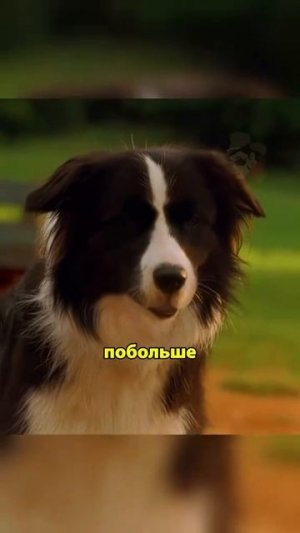 Фильм на Вечер