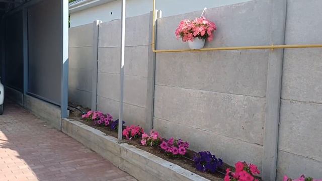 Video_2025-06-14_17-56-46