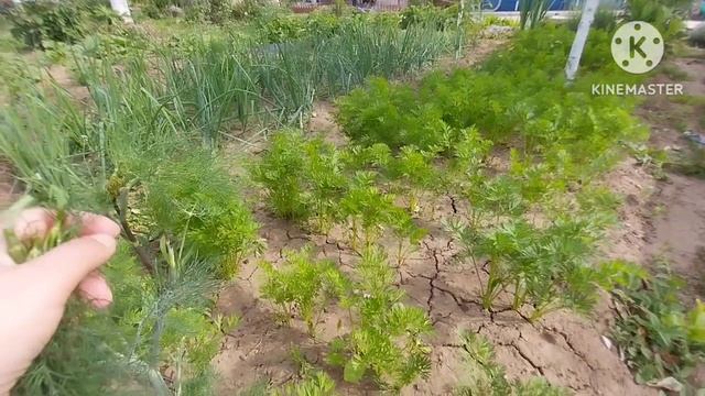 Съездили на могилку к сыну смотреть онлайн