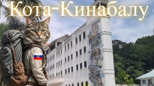Кота- Кинабалу. Глазами Странствующего кота.