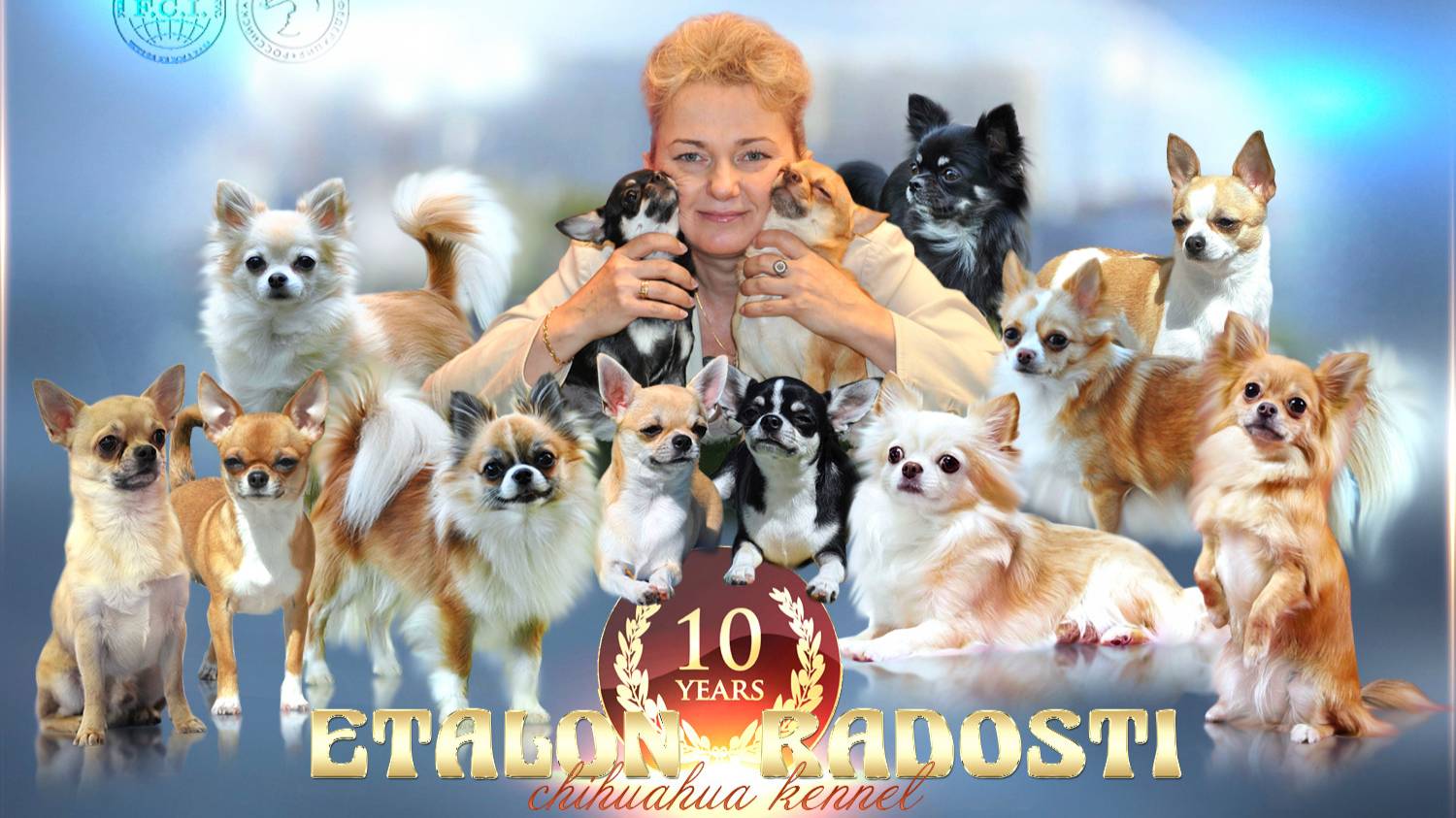 Россия-2, Д-ш кобели Юниоры. смотреть онлайн