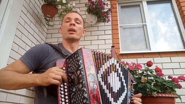 Листья желтые #Shorts смотреть онлайн