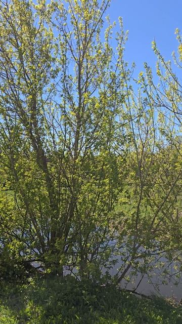 Вязьма #nature #travel смотреть онлайн