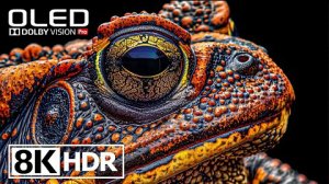 Потрясающее видео для расслабления. 4K HDR Природа