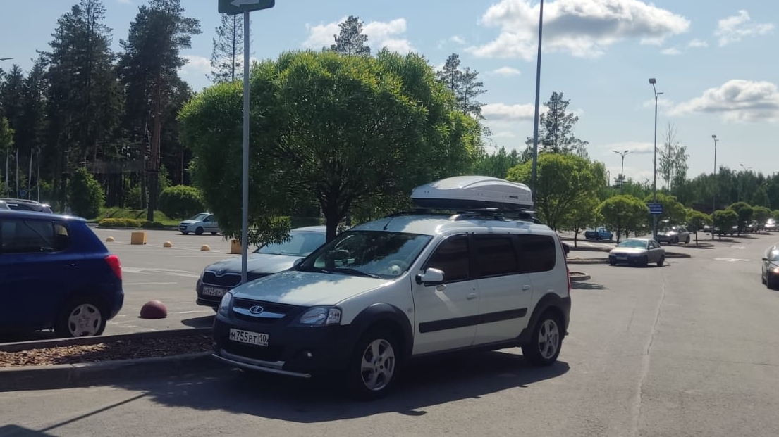 Шампиньоны на мангале.Все 33 удовольствия. смотреть онлайн