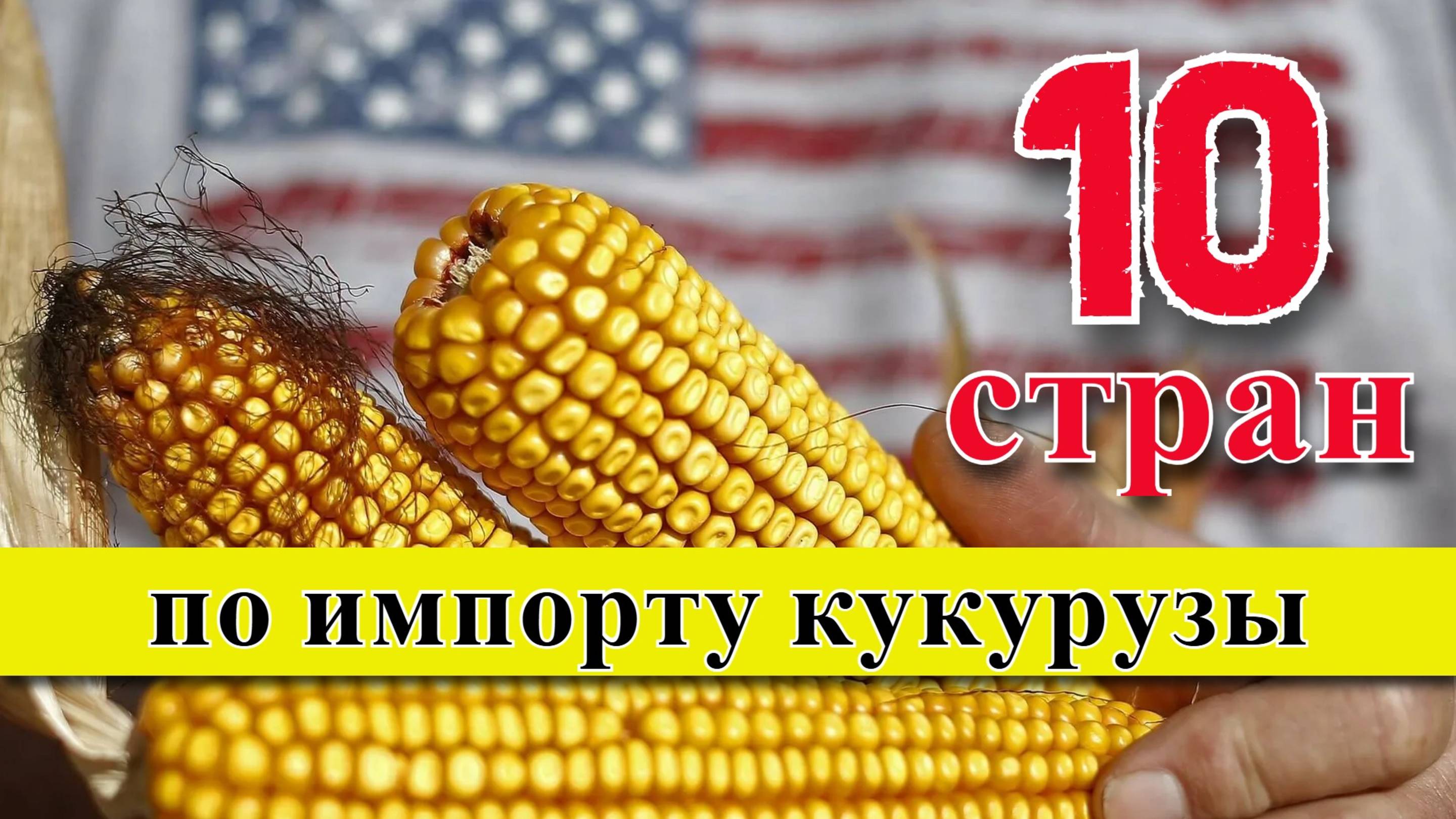 Импорт кукурузы: ТОП 10 стран по импорту кукурузы на зерно (1961–2023) смотреть онлайн