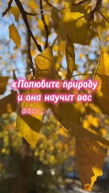 #агнийога #живая_этика #знания #мудрость_великих_учителей #мудрость смотреть онлайн