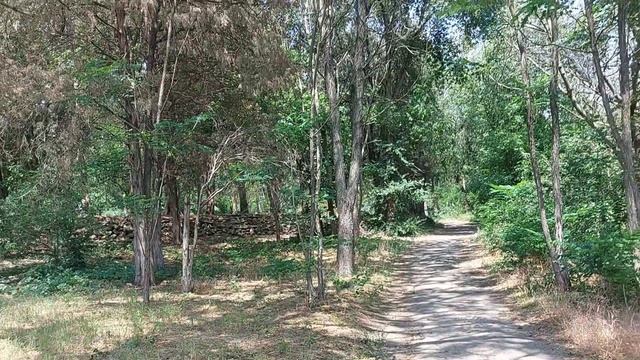 Ботанический сад Ростова-на-Дону смотреть онлайн