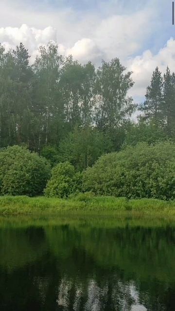 (3) Евангелие от Иоанна глава 1 стих 18-28 смотреть онлайн