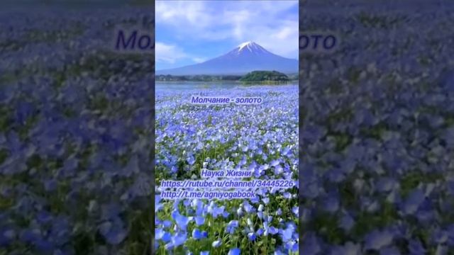 Молчание - золото #агнийога#живаяэтика#молчание смотреть онлайн