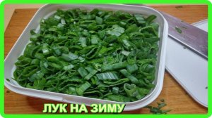 только так заготавливаю (перо) зеленый  ЛУК не зиму