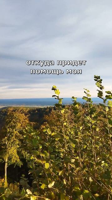 возвожу очи мои к горам...