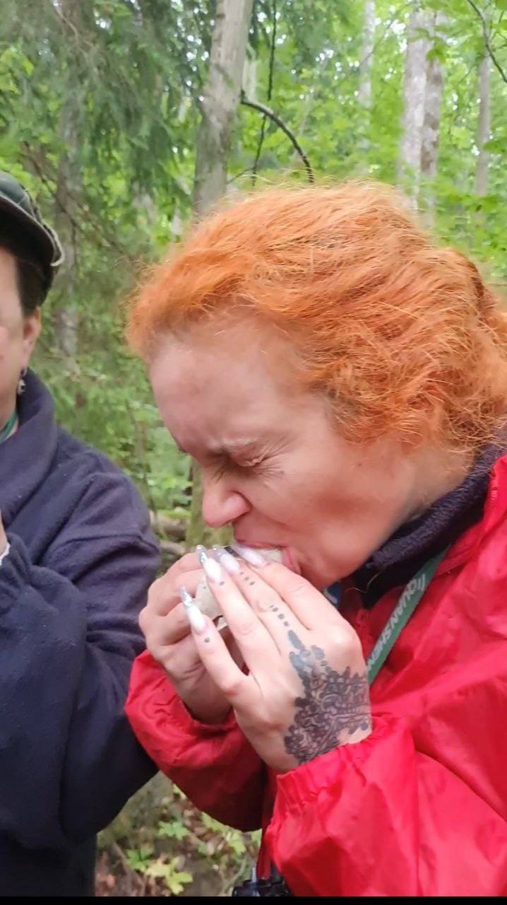 обряд посвящения в ГРИБНИКИ, гриб веселка это вкусно и полезно. сбор грибов 2025 смотреть онлайн