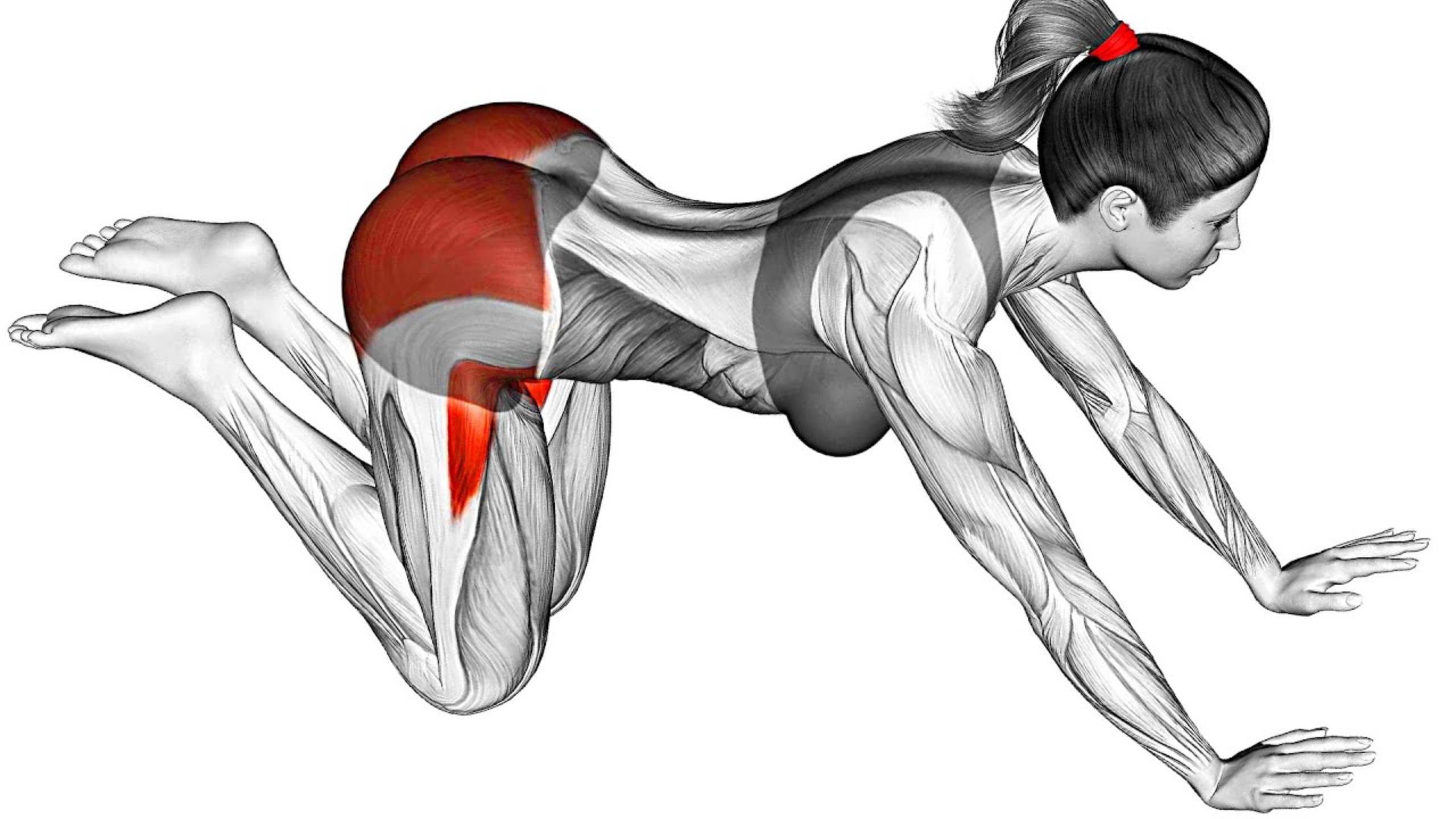 30-дневная Трансформация Ягодиц смотреть онлайн