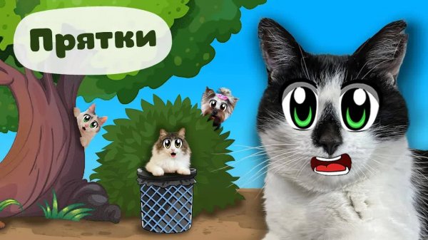 КОТОПРЯТКИ уровня НИНДЗЯ! Один кот исчез НАВСЕГДА 😼🚨