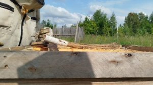 Майский мëд.