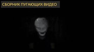 СБОРНИК ВИДЕО КОТОРЫЙ ЗАСТАВИТ ВАС ДРОЖАТЬ