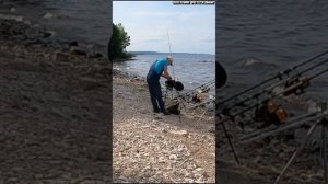1000034736.mp4 Ловля карася на флэт фидер